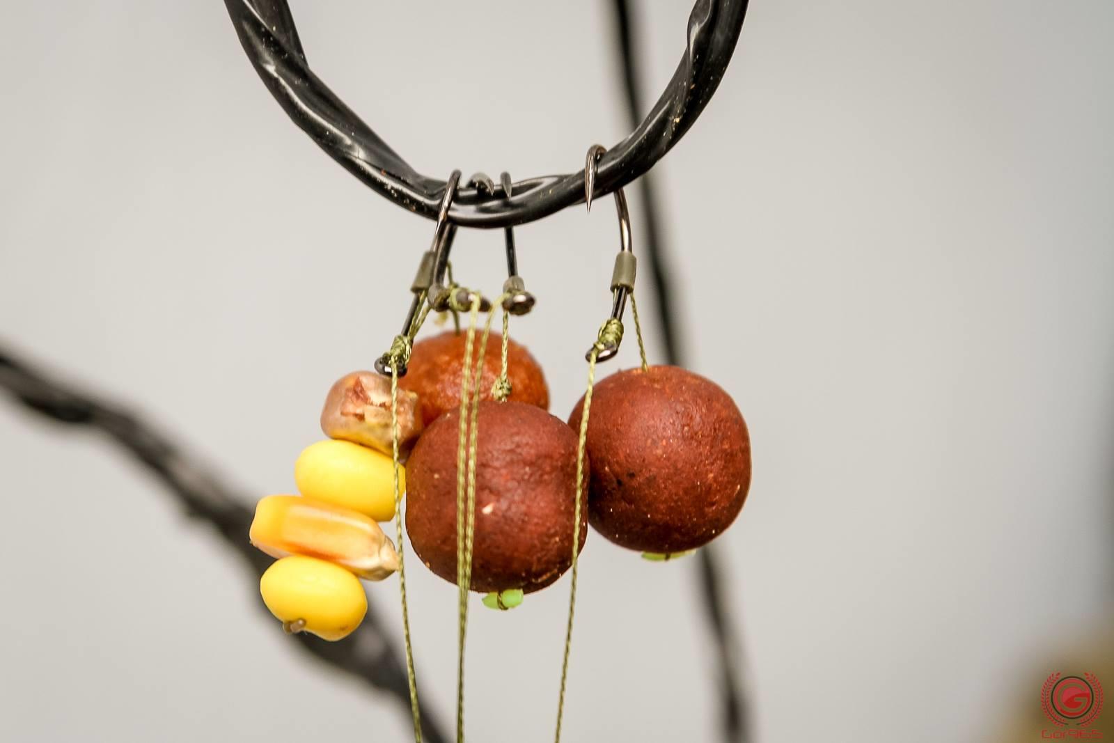 Concursuri 2016 by gor965 - 1452456011737398559826405695324894572849180o.jpg